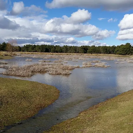 Romi Pensión Cantalejo